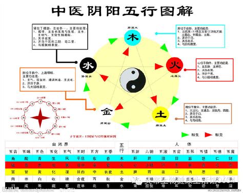 萬物相生相剋|五行相生相剋:五行,四季五行,相生相剋,概念對應,五行數理,五行方。